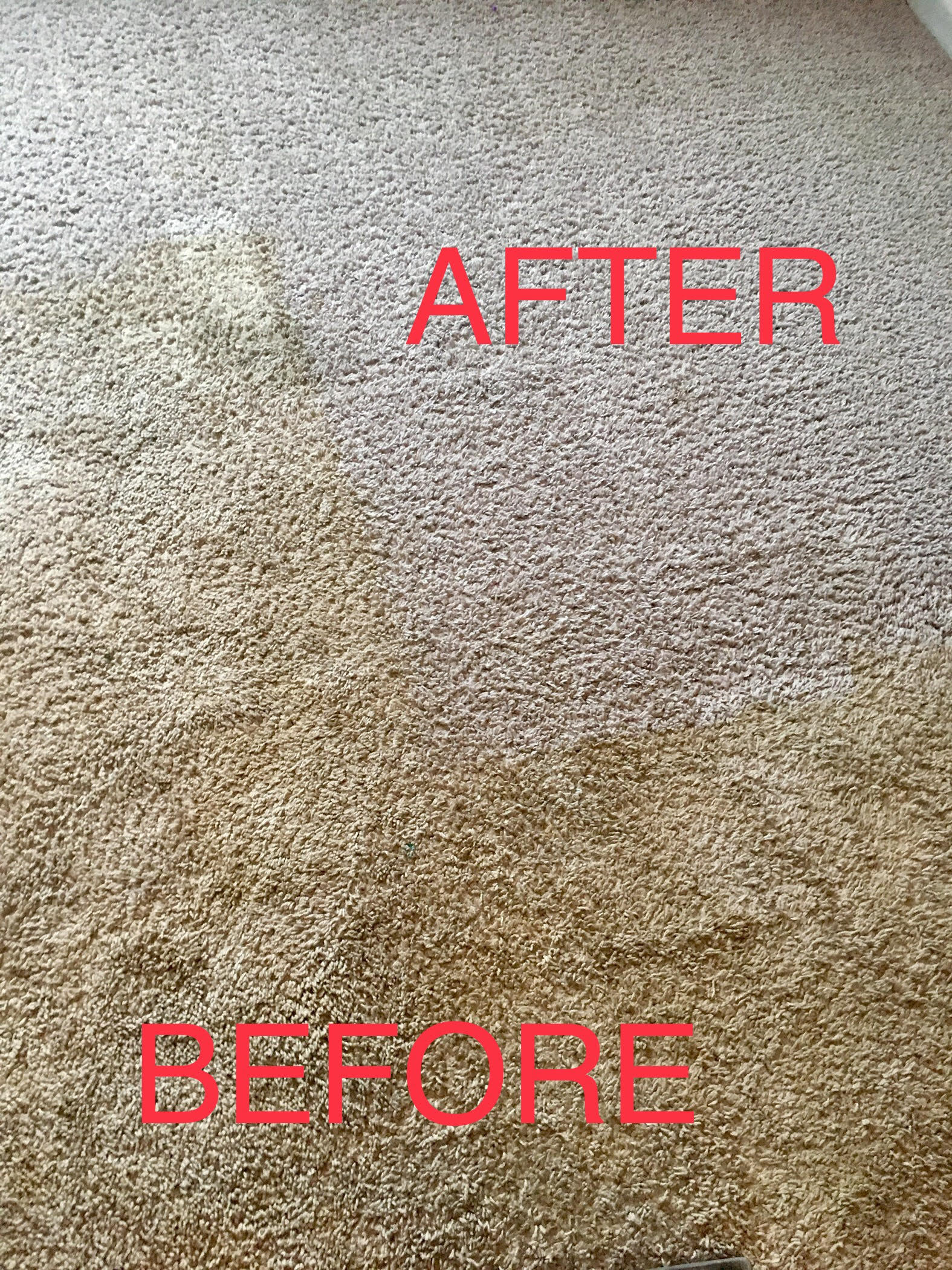 Carpet Cleaning